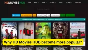 Why HD movies hub become more popular